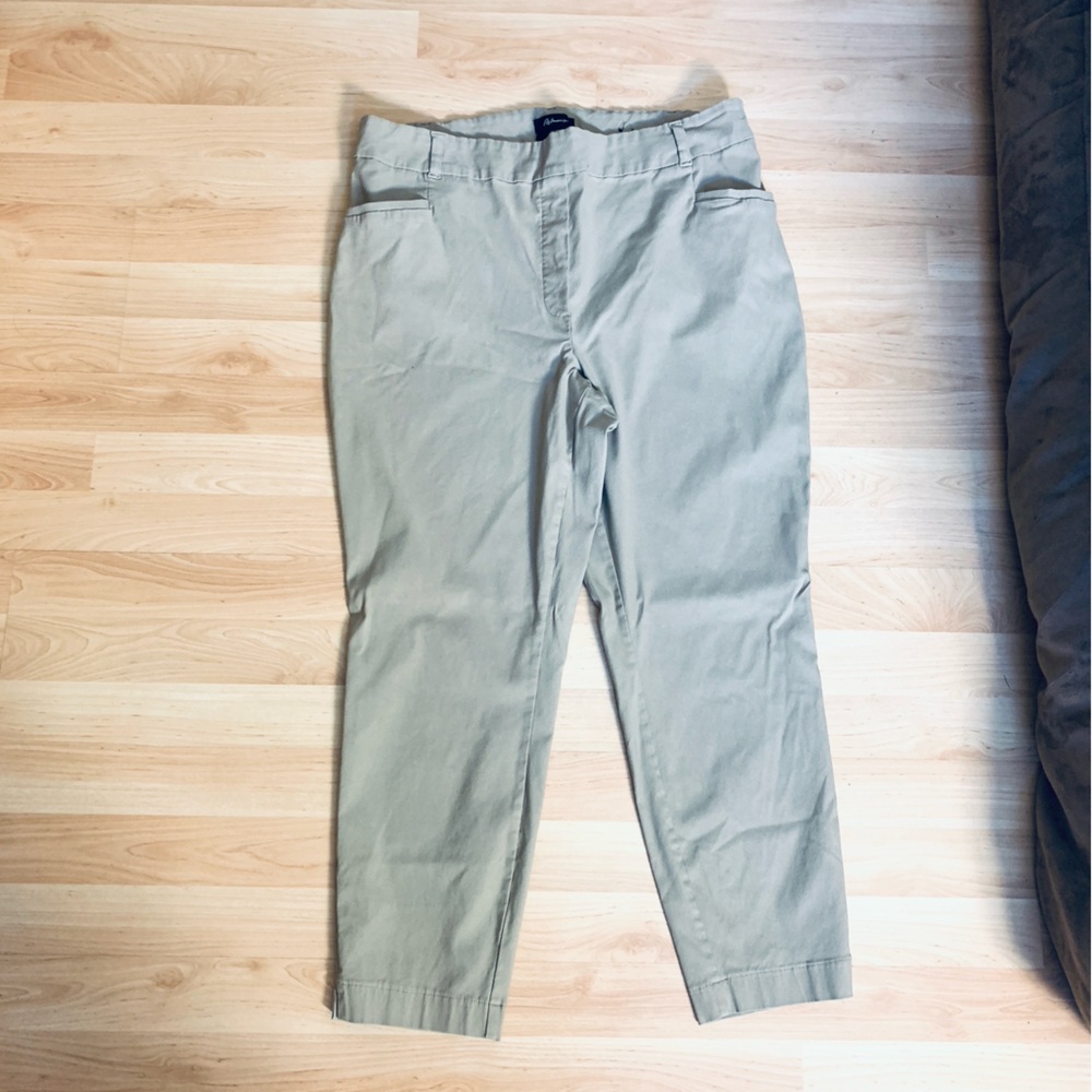 Reitmans Women’s Tan Straight Leg Pants Business Casual Plus Size 20